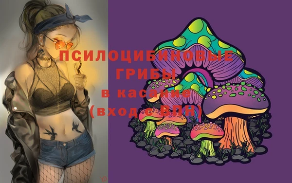 спайс Балабаново